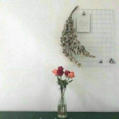 蹦床女神曾表示非他不嫁，却在一年后宣布分手，今29岁仍单身！